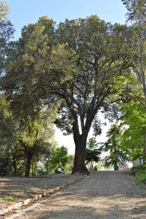 "Villa Bizzi" Monte Castelli Luaran gambar